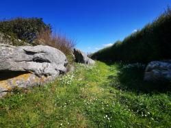 KERLOUAN : Terrain de loisir à deux pas des plages 