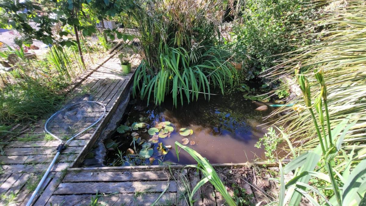 LA FOREST-LANDERNEAU: Ravissante propriété au bord de l’eau sur 1900 m² avec T2 indépendant – VENTE EN VIAGER