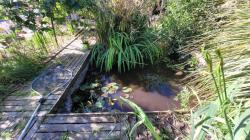 LA FOREST-LANDERNEAU: Ravissante propriété au bord de l’eau sur 1900 m² avec T2 indépendant – VENTE EN VIAGER