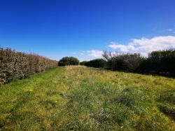 KERLOUAN : Terrain de loisir à deux pas des plages 