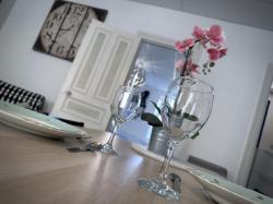 SAINT MICHEL : joli t1bis à louer en meublé