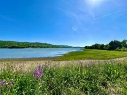 LA FOREST-LANDERNEAU: Ravissante propriété au bord de l’eau sur 1900 m² avec T2 indépendant – VENTE EN VIAGER